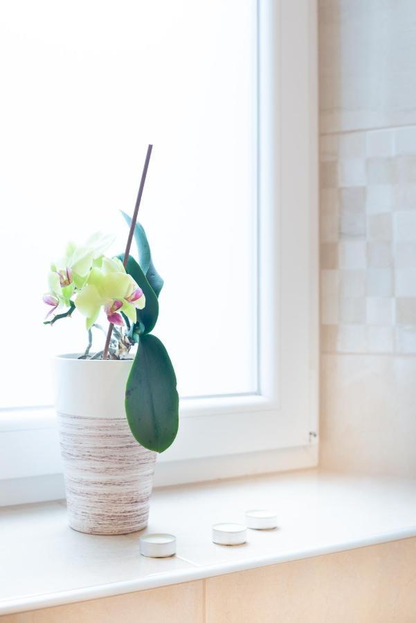 Kobarid Rooms Екстериор снимка